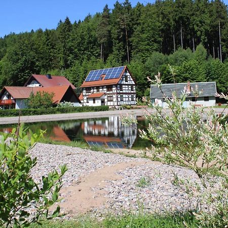 Ferienwohnung Nuessleshof Fambach Esterno foto